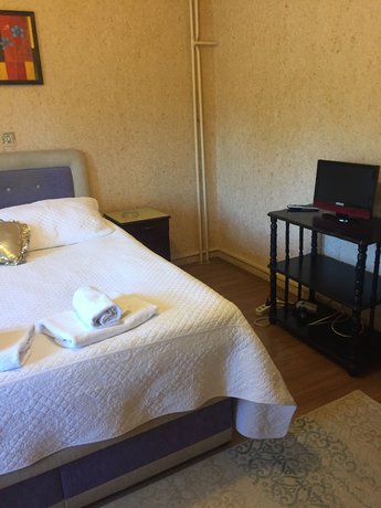 Imagen de la habitación del Hotel Ilhan. Foto 10