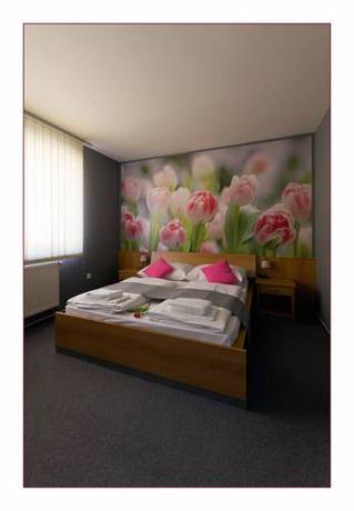 Imagen de la habitación del Hotel Imos. Foto 13