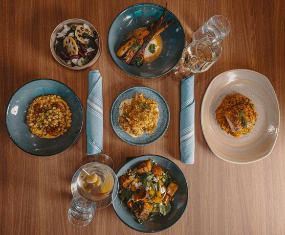 Imagen general del Hotel Indigo West Chester - Downtown, an IHG Hotel. Foto 18