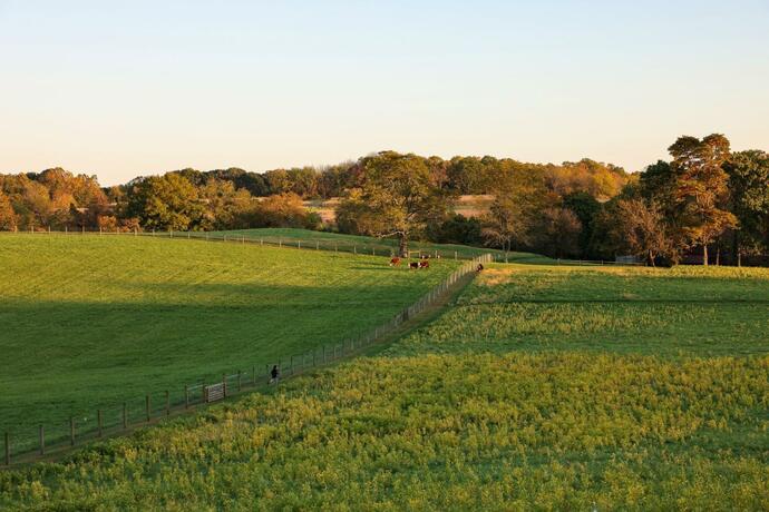 Imagen general del Hotel Indigo West Chester - Downtown, an IHG Hotel. Foto 20