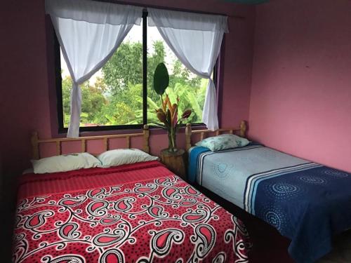 Imagen de la habitación del Hotel Kaltasojtalis - Free Parking. Foto 19