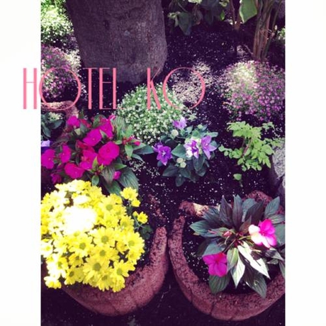 Imagen general del Hotel Ko. Foto 3