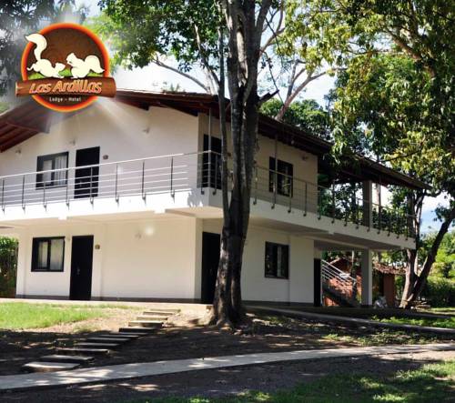 Imagen de la habitación del Hotel La Ardilla De Santa Fe. Foto 5