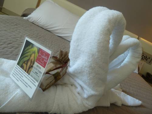 Imagen de la habitación del Hotel La Victoire. Foto 6