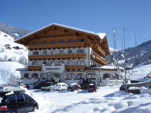 Imagen de la habitación del Hotel Lammwirt. Foto 7