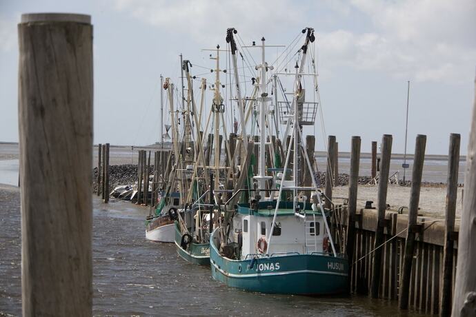 Imagen general del Hotel Landhaus Sterdeb&uuml;ll. Foto 4