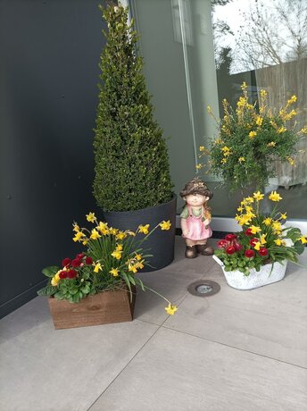 Imagen general del Hotel Landhaus Sterdeb&uuml;ll. Foto 8