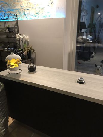 Imagen de los interiores del Hotel Le Lys d\'Or. Foto 19