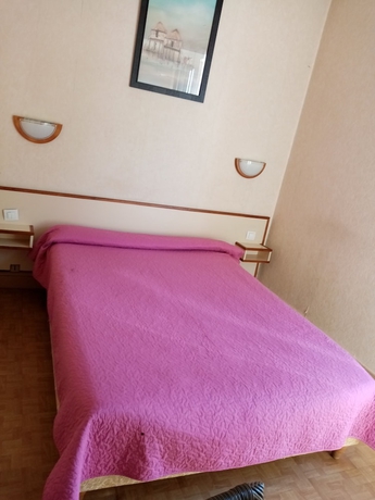 Imagen de la habitación del Hotel Le Regina. Foto 7