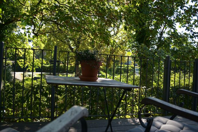 Imagen general del Hotel Leegerpark. Foto 4