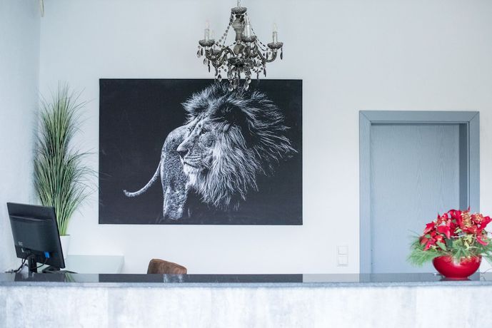 Imagen de los interiores del Hotel Leo. Foto 20