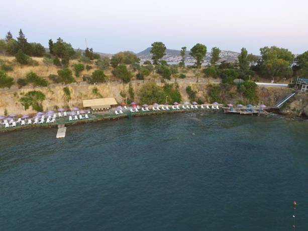 Imagen de los exteriores del Hotel Leon. Foto 17