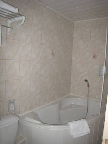 Imagen de la habitación del Hotel Les Alpes. Foto 11
