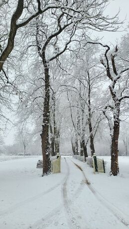 Imagen general del Hotel Lethehof. Foto 3