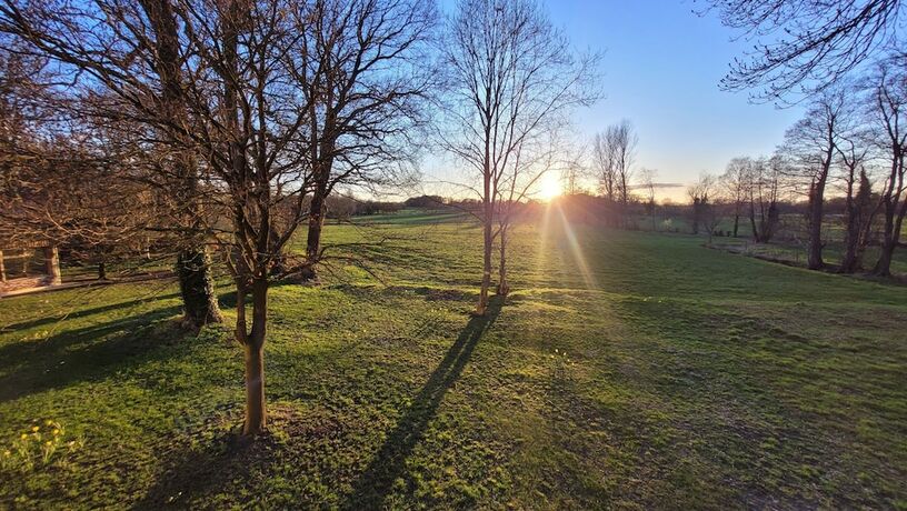 Imagen general del Hotel Lethehof. Foto 5