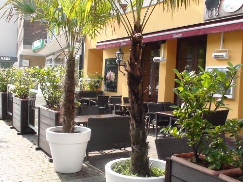 Imagen general del Hotel Lex. Foto 7