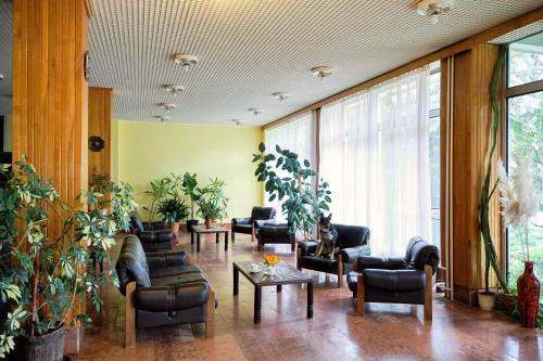 Imagen general del Hotel Lido Retro Balaton. Foto 3