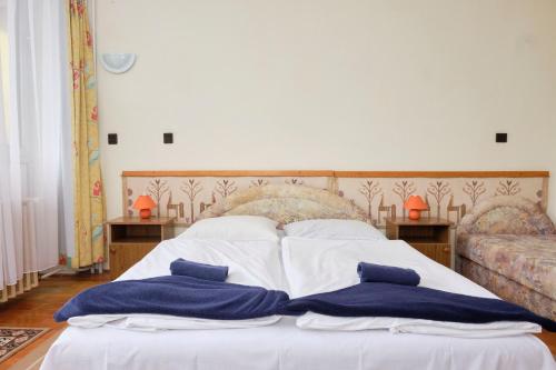 Imagen general del Hotel Lido Retro Balaton. Foto 7