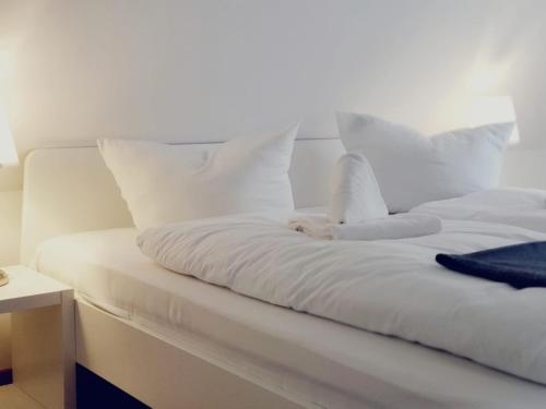 Imagen general del Hotel Lindenhof Bad Schandau. Foto 2