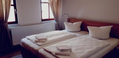 Imagen general del Hotel Lindenhof Bad Schandau. Foto 4