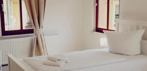 Imagen general del Hotel Lindenhof Bad Schandau. Foto 5