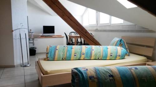 Imagen de la habitación del Hotel L&ouml;wen, Uster. Foto 4
