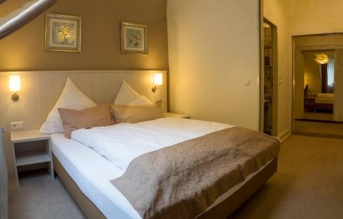 Imagen de la habitación del Hotel Luise, Bad Bergzabern. Foto 8
