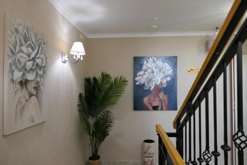 Imagen general del Hotel MEDITERRANEO. Foto 4