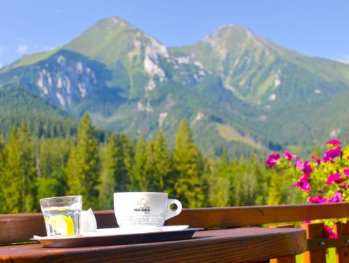 Imagen general del Hotel Magura. Foto 5