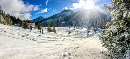 Imagen general del Hotel Magura. Foto 6