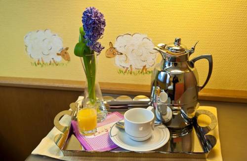 Imagen de la habitación del Hotel Mangold. Foto 4