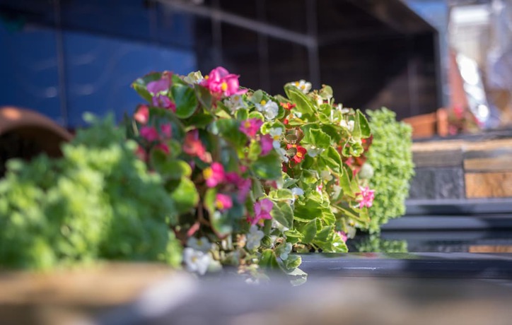 Imagen de la habitación del Hotel Mardia. Foto 16