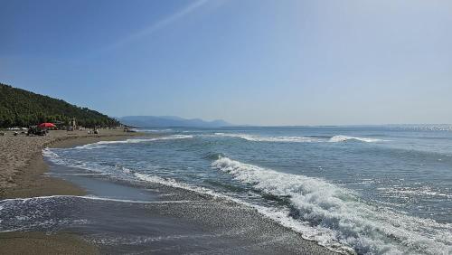 Imagen general del Hotel Marigona. Foto 8