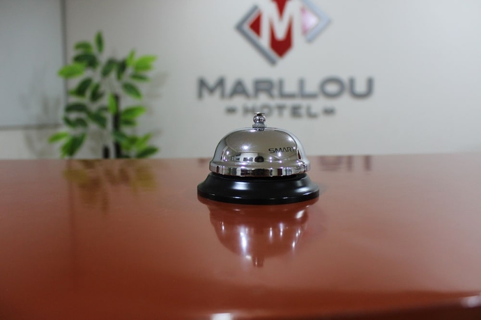 Imagen de los interiores del Hotel Marllou. Foto 15