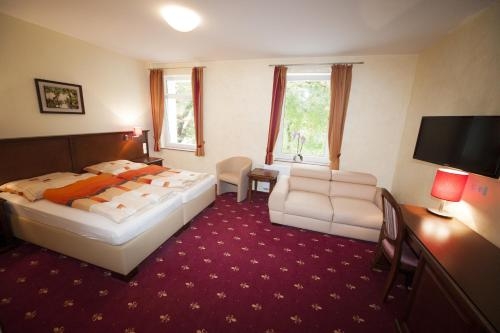 Imagen de la habitación del Hotel Medaillon. Foto 10