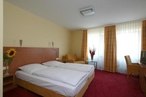 Imagen general del Hotel Mehl. Foto 3