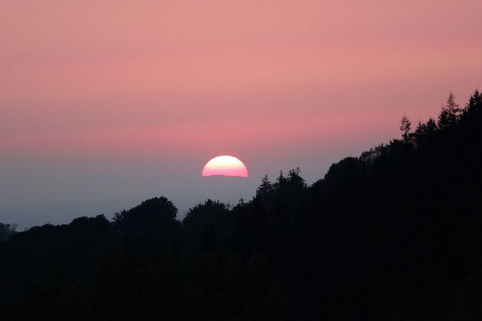 Imagen de la habitación del Hotel Merkurwald-Restaurant Wolpertinger. Foto 12