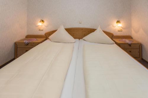 Imagen general del Hotel Merle. Foto 5