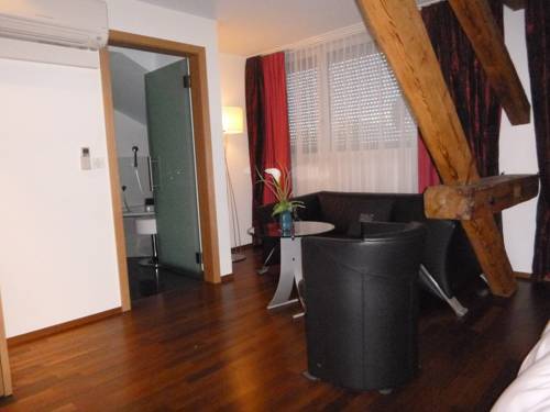 Imagen de la habitación del Hotel Metzgern. Foto 5