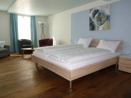 Imagen de la habitación del Hotel Metzgern. Foto 14