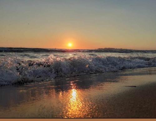 Imagen general del Hotel Miami Beach. Foto 16