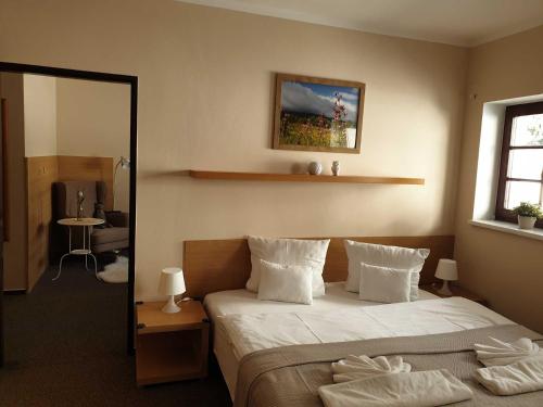 Imagen de la habitación del Hotel Modr&aacute;sek. Foto 5