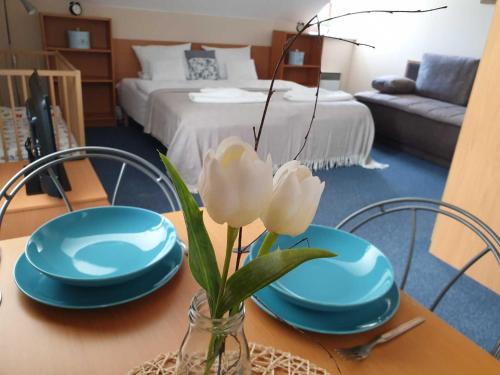 Imagen general del Hotel Modrásek. Foto 1
