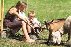 Imagen general del Hotel Mohnenfluh. Foto 17