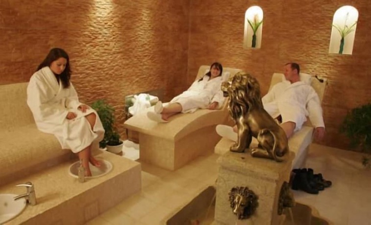 Imagen de la piscina del Hotel Mohr and SPA. Foto 17