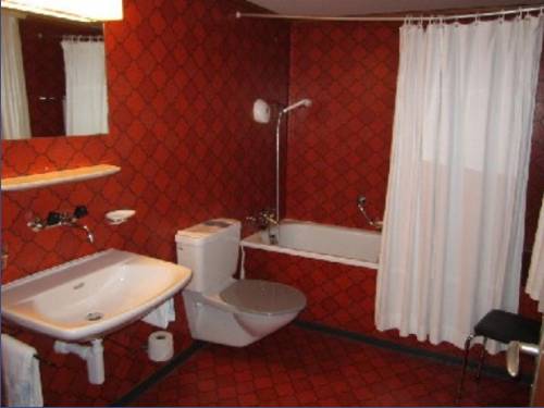 Imagen de la habitación del Hotel Montana, SEELISBERG . Foto 5