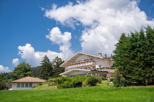 Imagen general del Hotel Moserhof. Foto 15