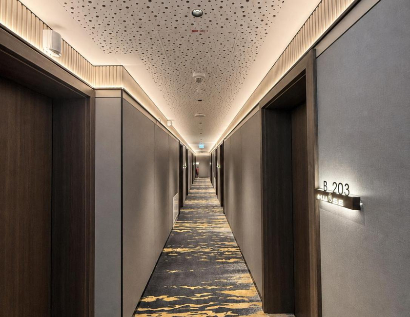 Imagen general del Hotel Muse. Foto 16