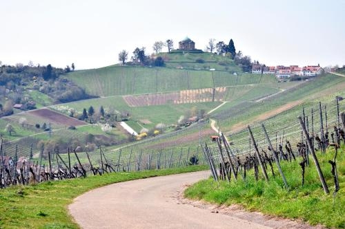 Imagen general del Hotel M&uuml;nzmay. Foto 3