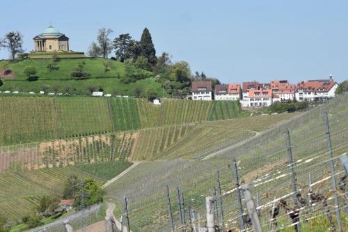 Imagen general del Hotel M&uuml;nzmay. Foto 6